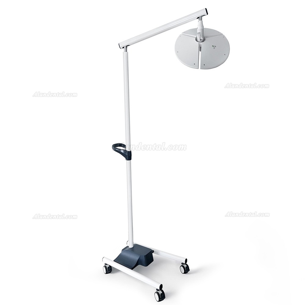 KWS KD-2036L-4 80W LED Dental Surgical Light (With Base, Stand Type)